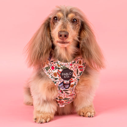 Farmers Market: Adjustable Harness