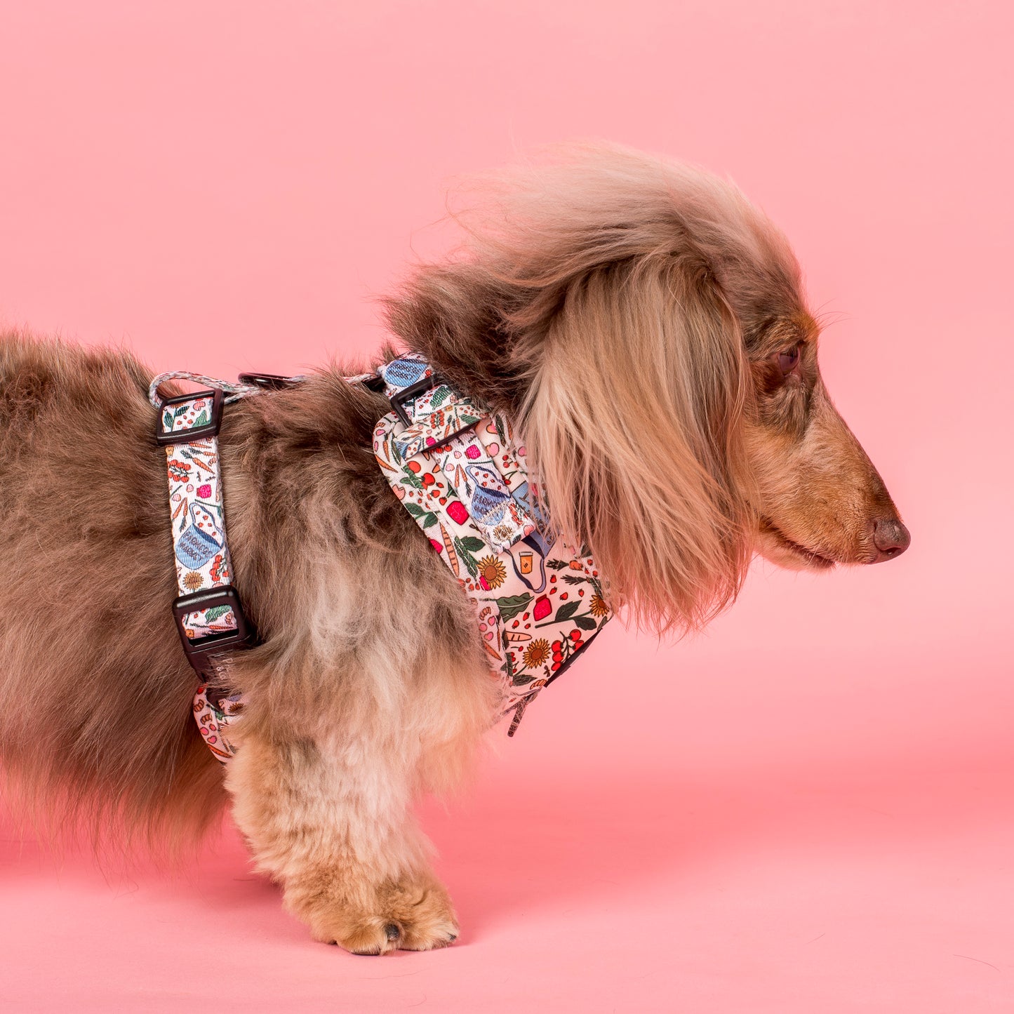 Farmers Market: Adjustable Harness