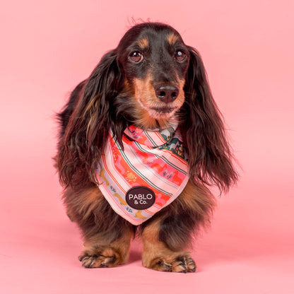 The Blooming Dachshund: Dog Bandana