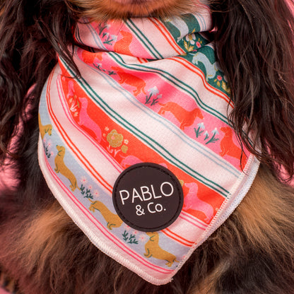 The Blooming Dachshund: Dog Bandana