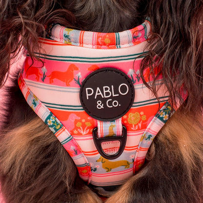The Blooming Dachshund: Adjustable Harness