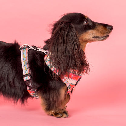 The Blooming Dachshund: Adjustable Harness