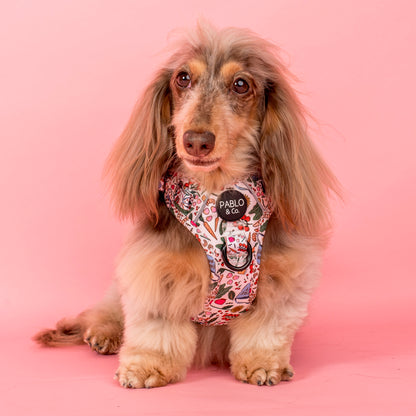 Farmers Market: No Pull Adventure Harness