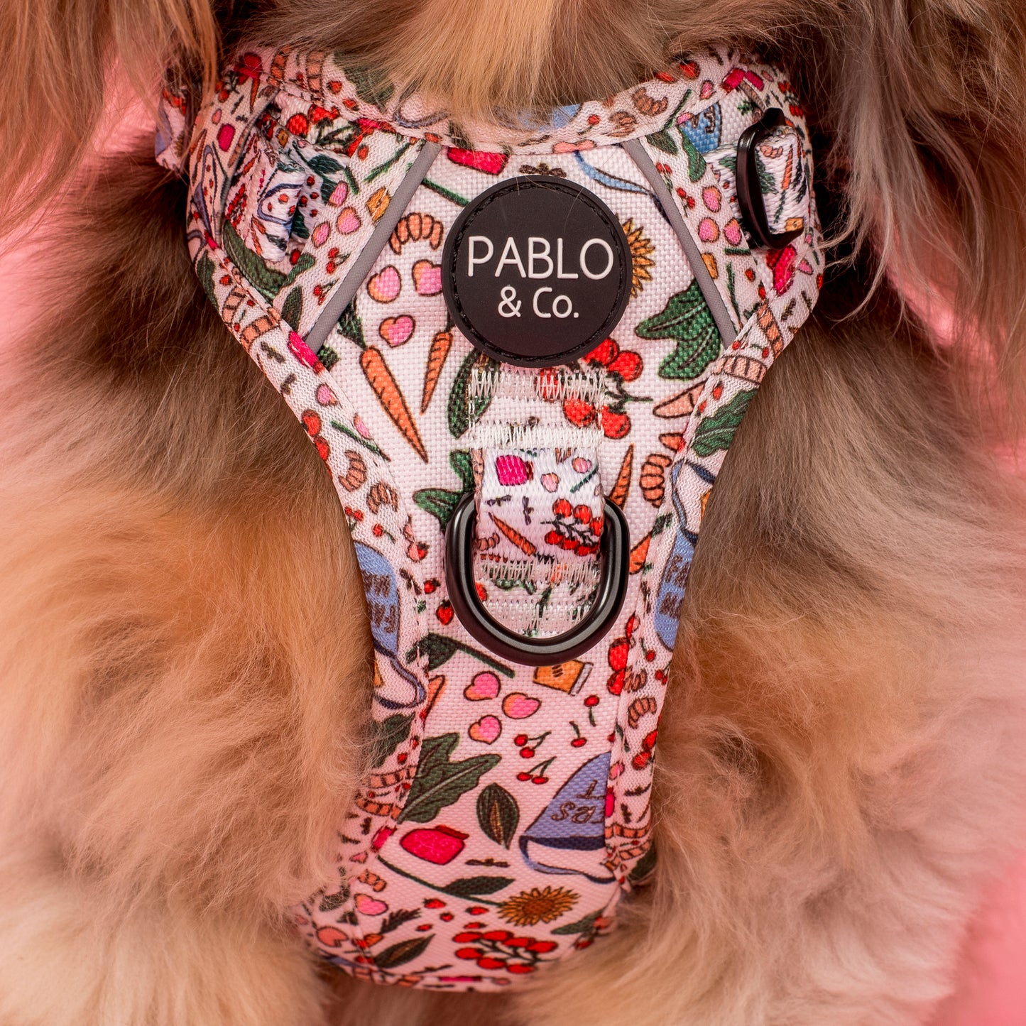 Farmers Market: No Pull Adventure Harness