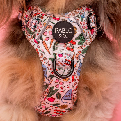 Farmers Market: No Pull Adventure Harness