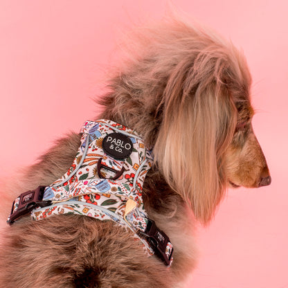 Farmers Market: No Pull Adventure Harness