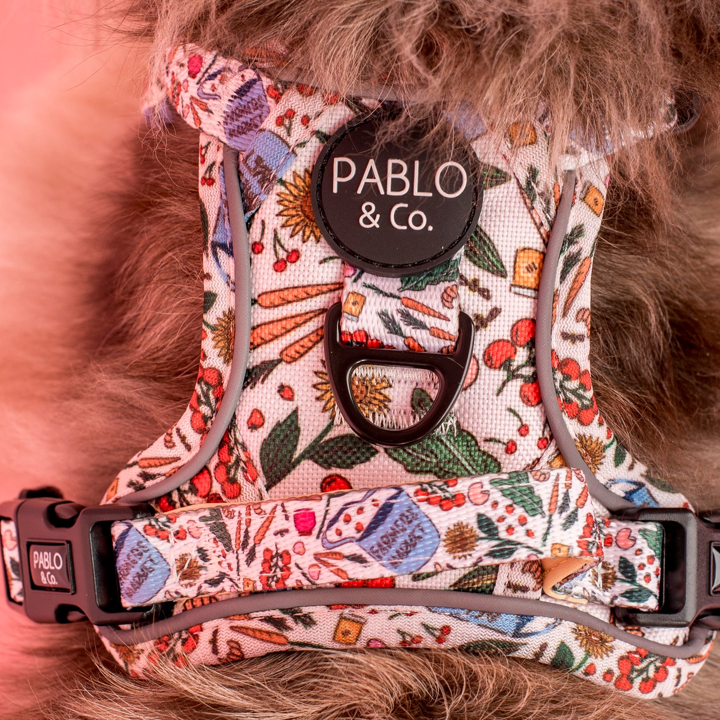 Farmers Market: No Pull Adventure Harness