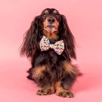 Farmers Market: Bow Tie