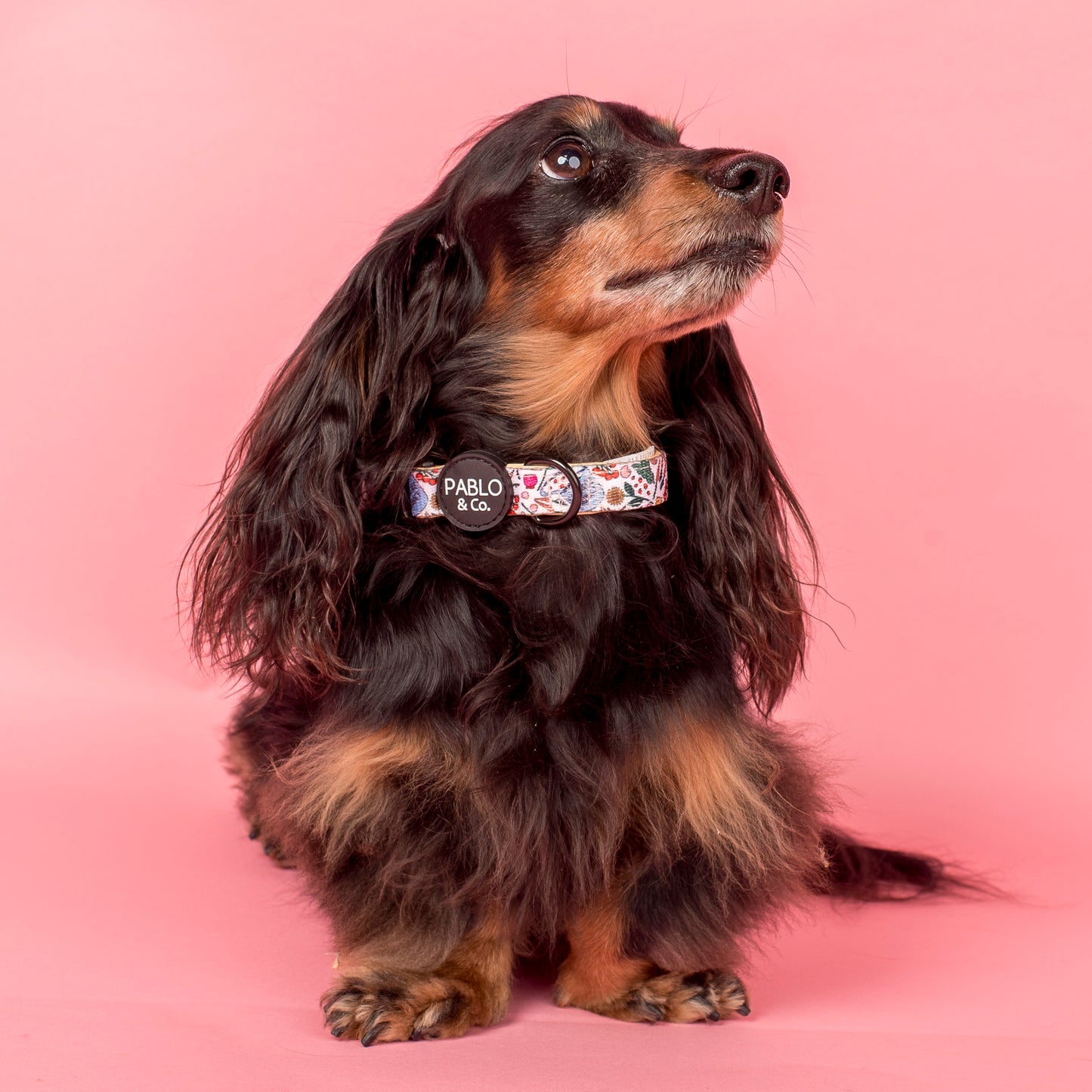 Farmers Market: Collar