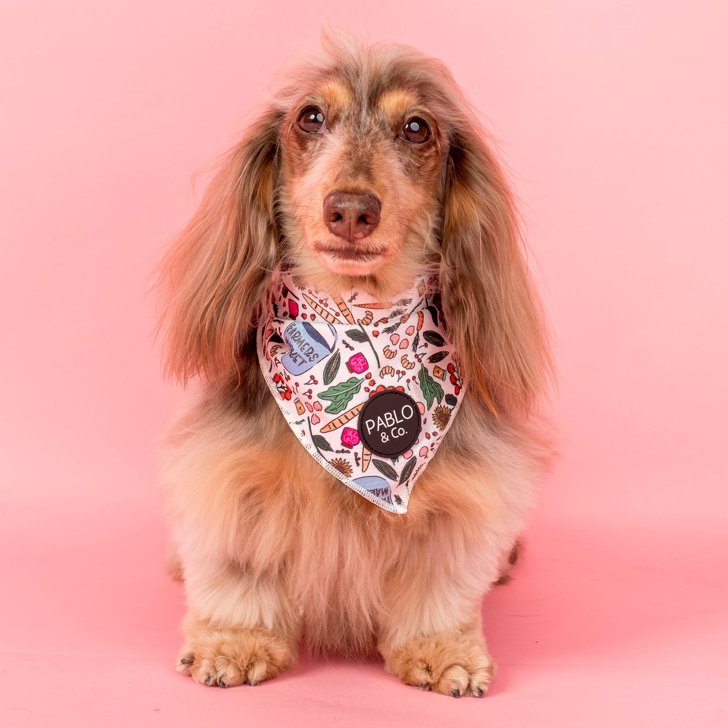 Farmers Market: Dog Bandana