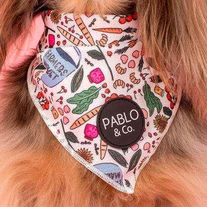 Farmers Market: Dog Bandana