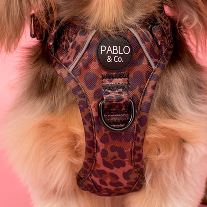 Leopard: No Pull Adventure Harness