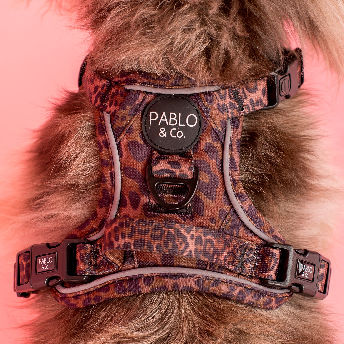 Leopard: No Pull Adventure Harness