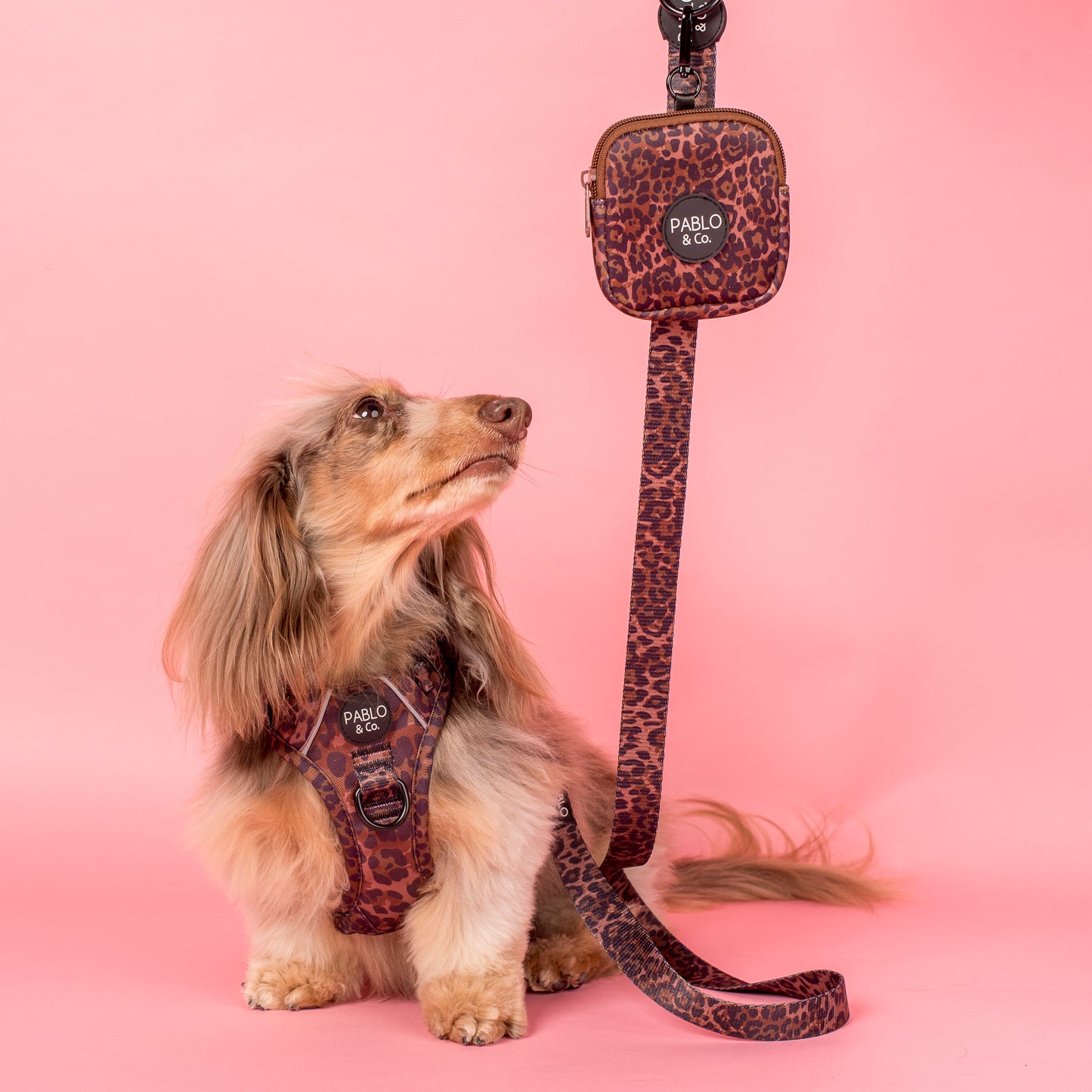 Leopard: Treat Pouch