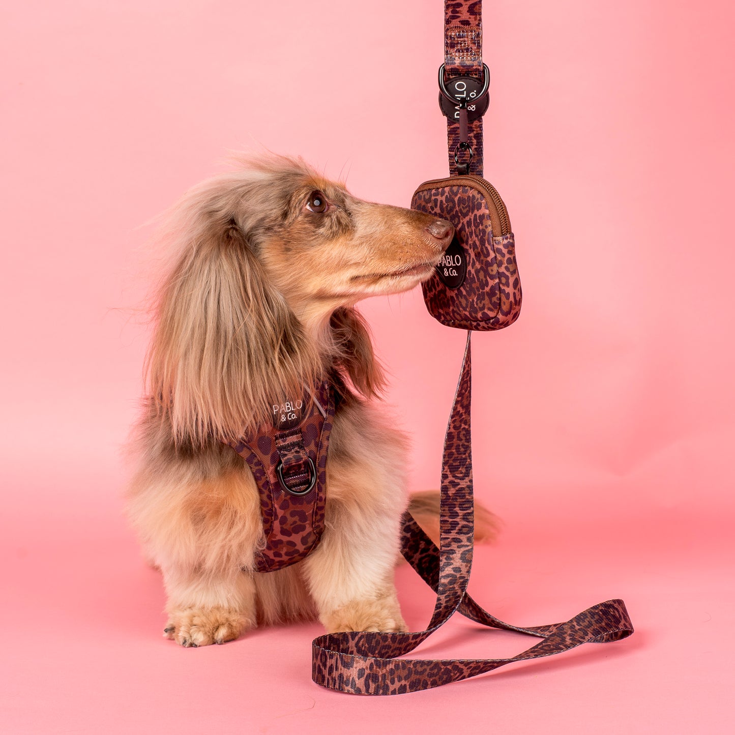 Leopard: Treat Pouch