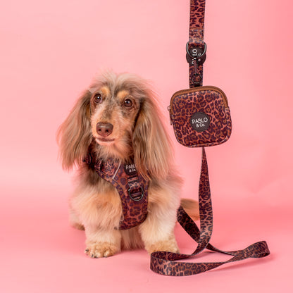 Leopard: Dog Leash