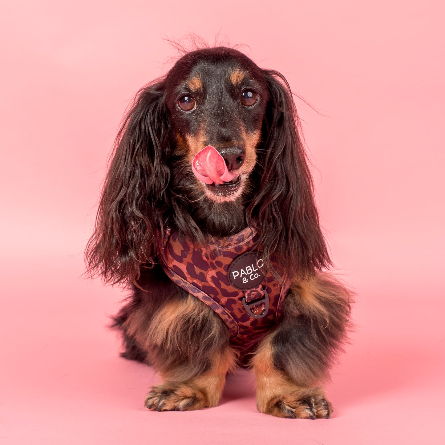 Leopard: Adjustable Harness