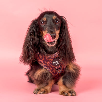Leopard: Adjustable Harness