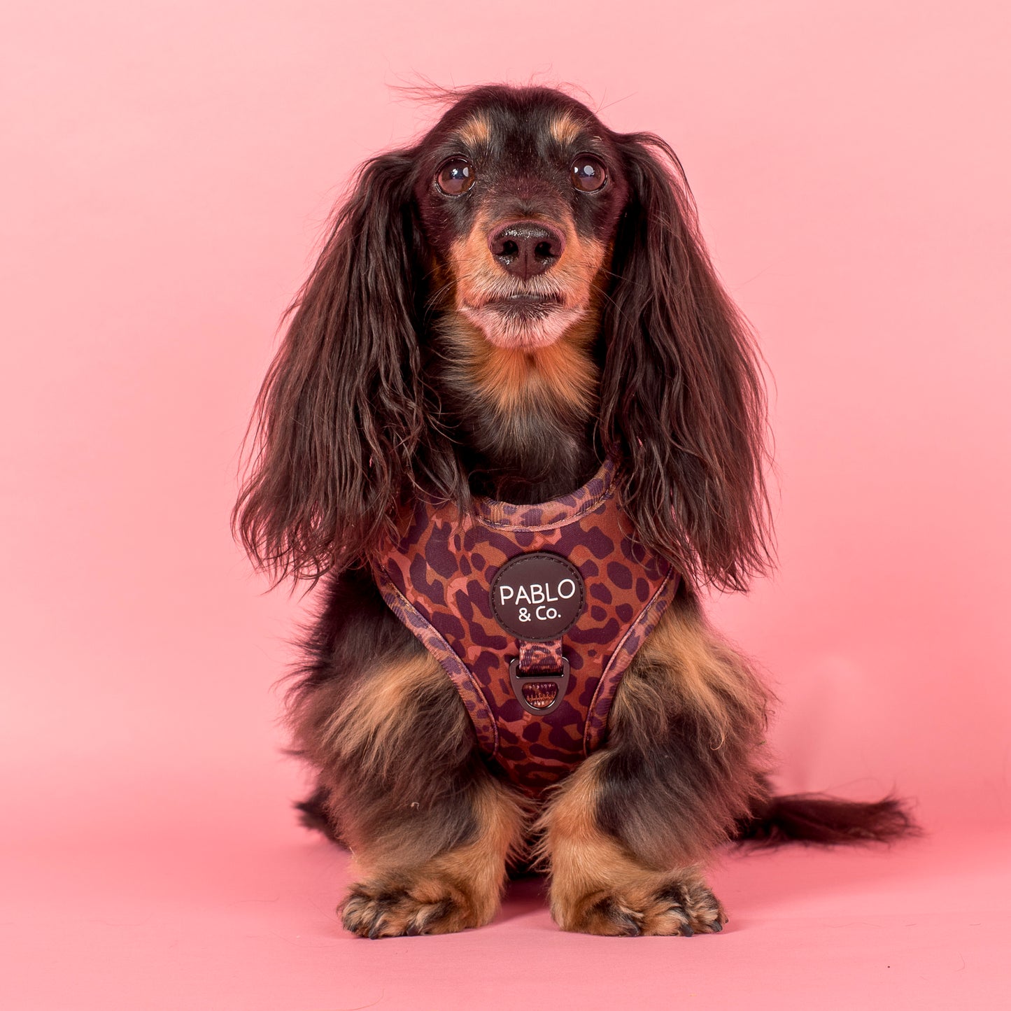 Leopard: Adjustable Harness