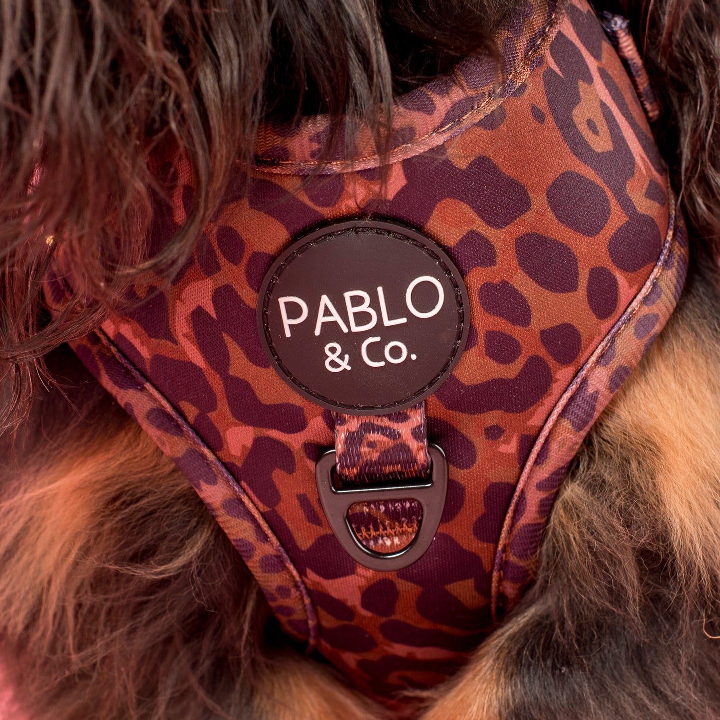 Leopard: Adjustable Harness