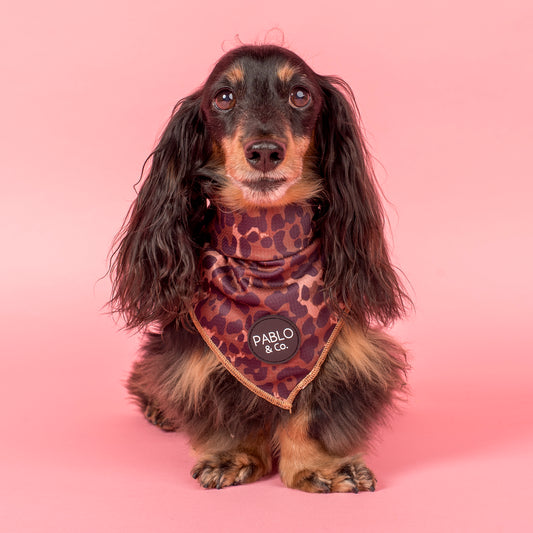 Leopard: Dog Bandana
