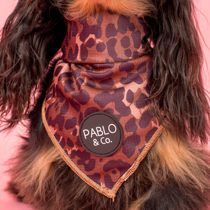 Leopard: Dog Bandana