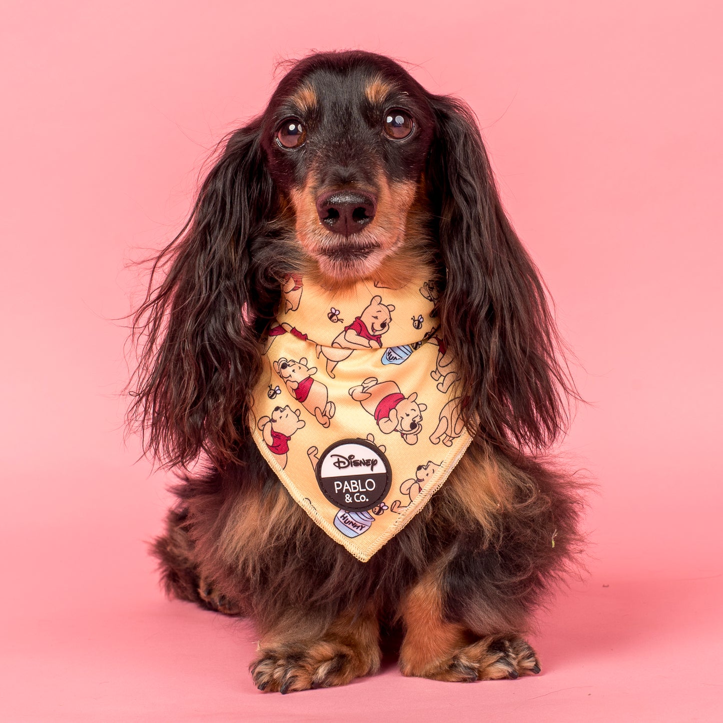 Winnie the Pooh & Bee's: Dog Bandana