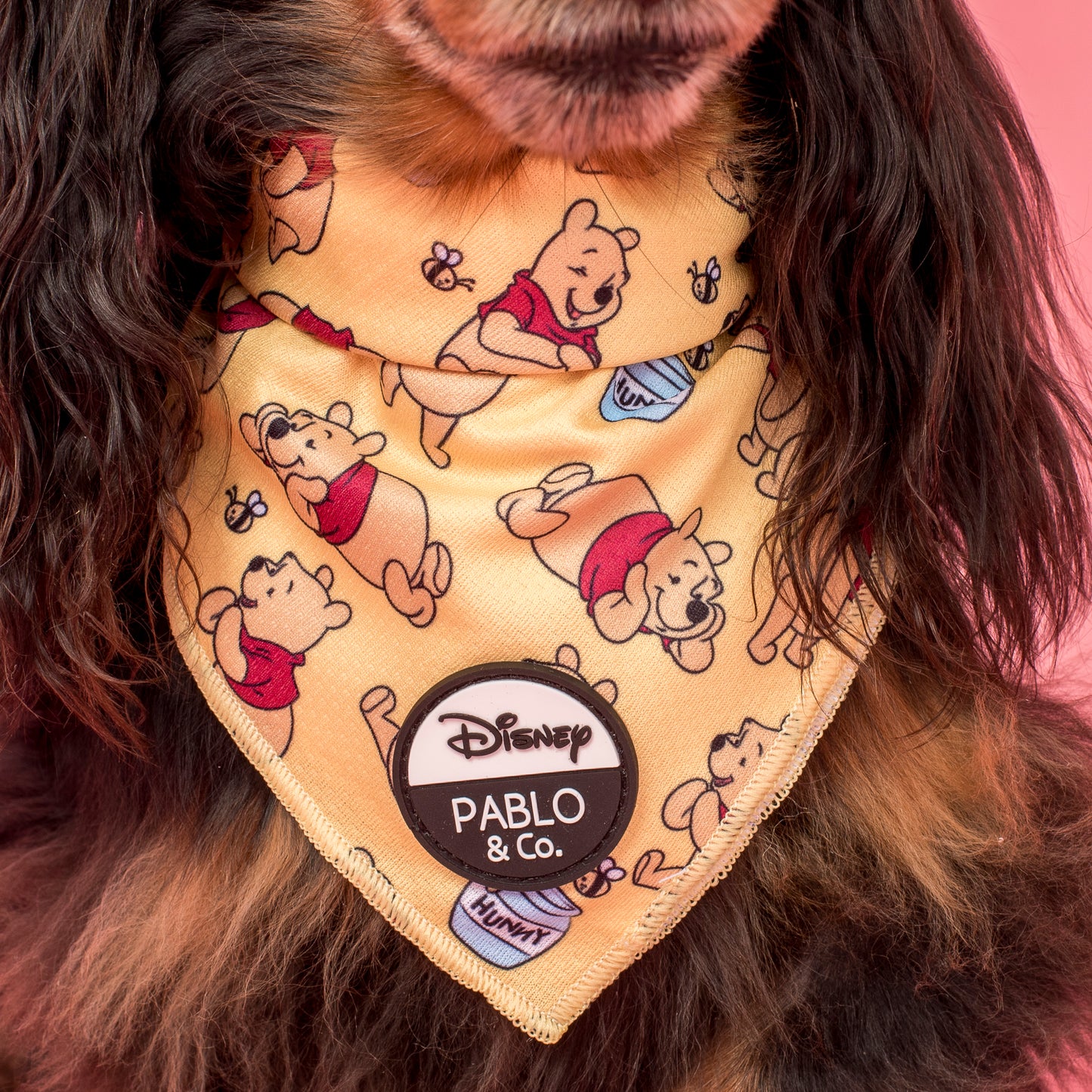 Winnie the Pooh & Bee's: Dog Bandana