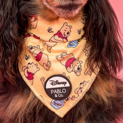 Winnie the Pooh & Bee's: Dog Bandana