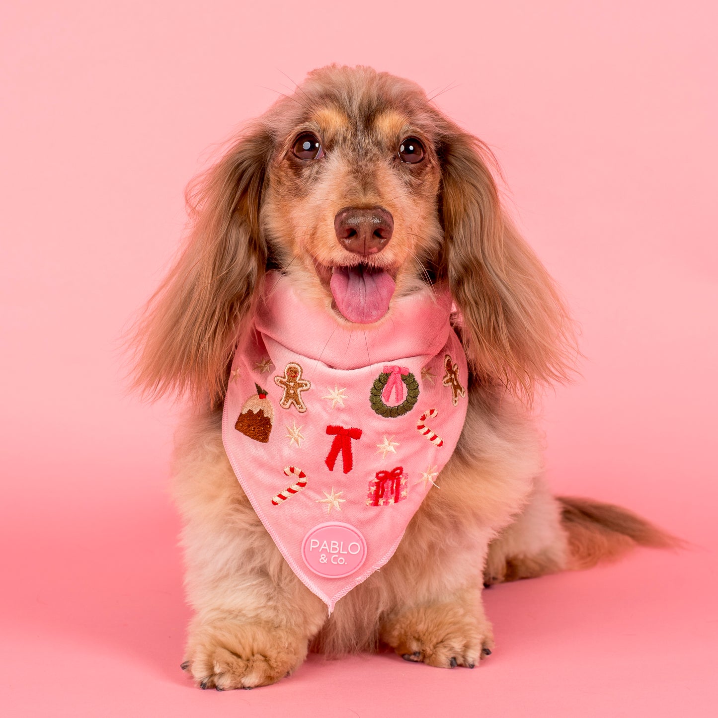 Merry & Bright: Dog Bandana