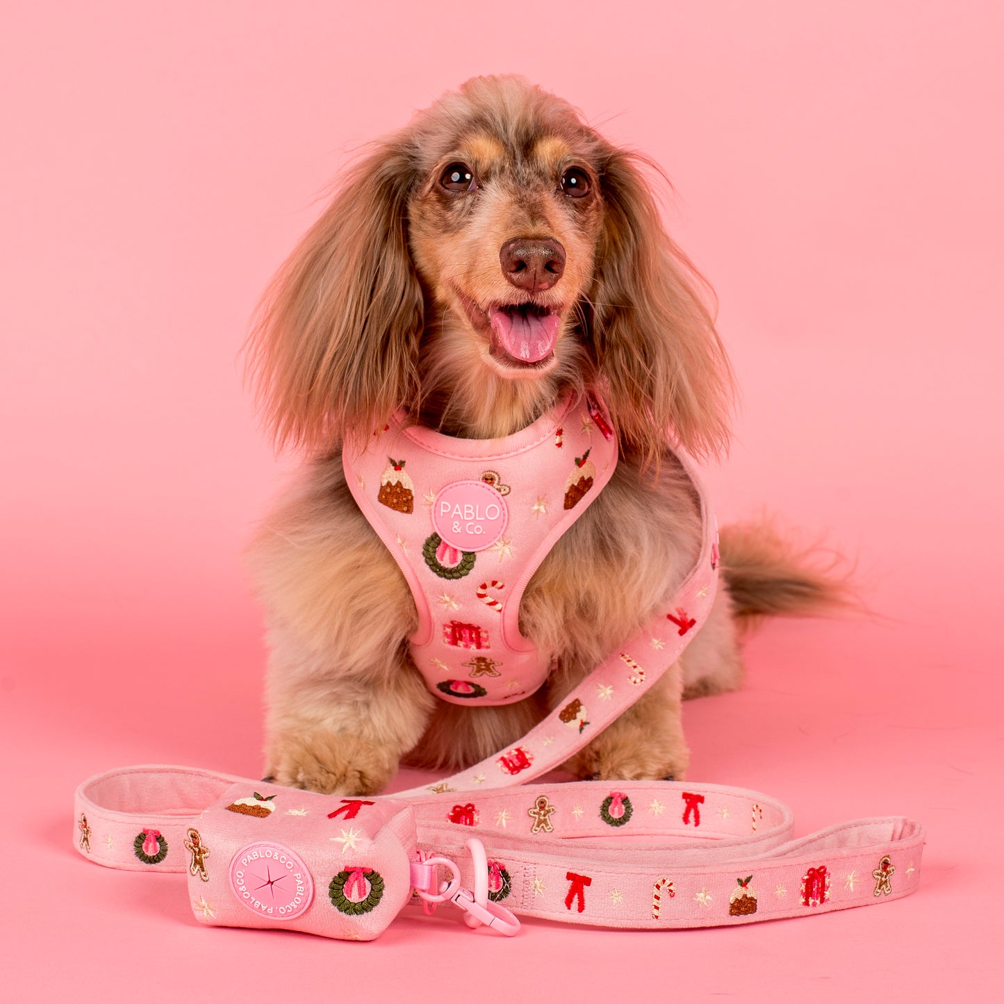 Merry & Bright: Poop Bag Holder