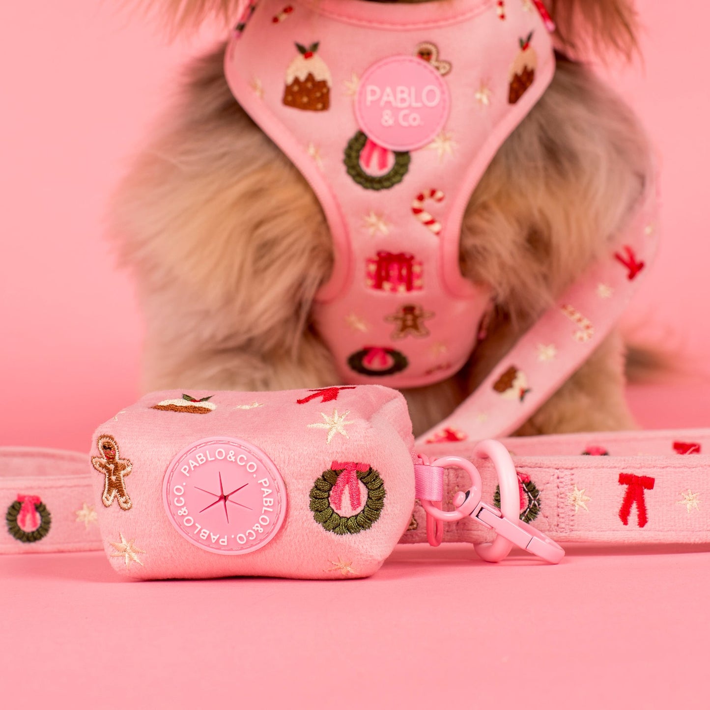 Merry & Bright: Poop Bag Holder