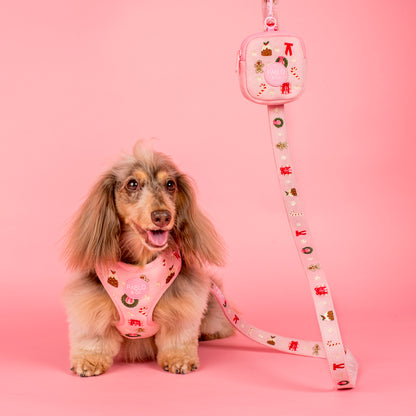 Merry & Bright: Treat Pouch