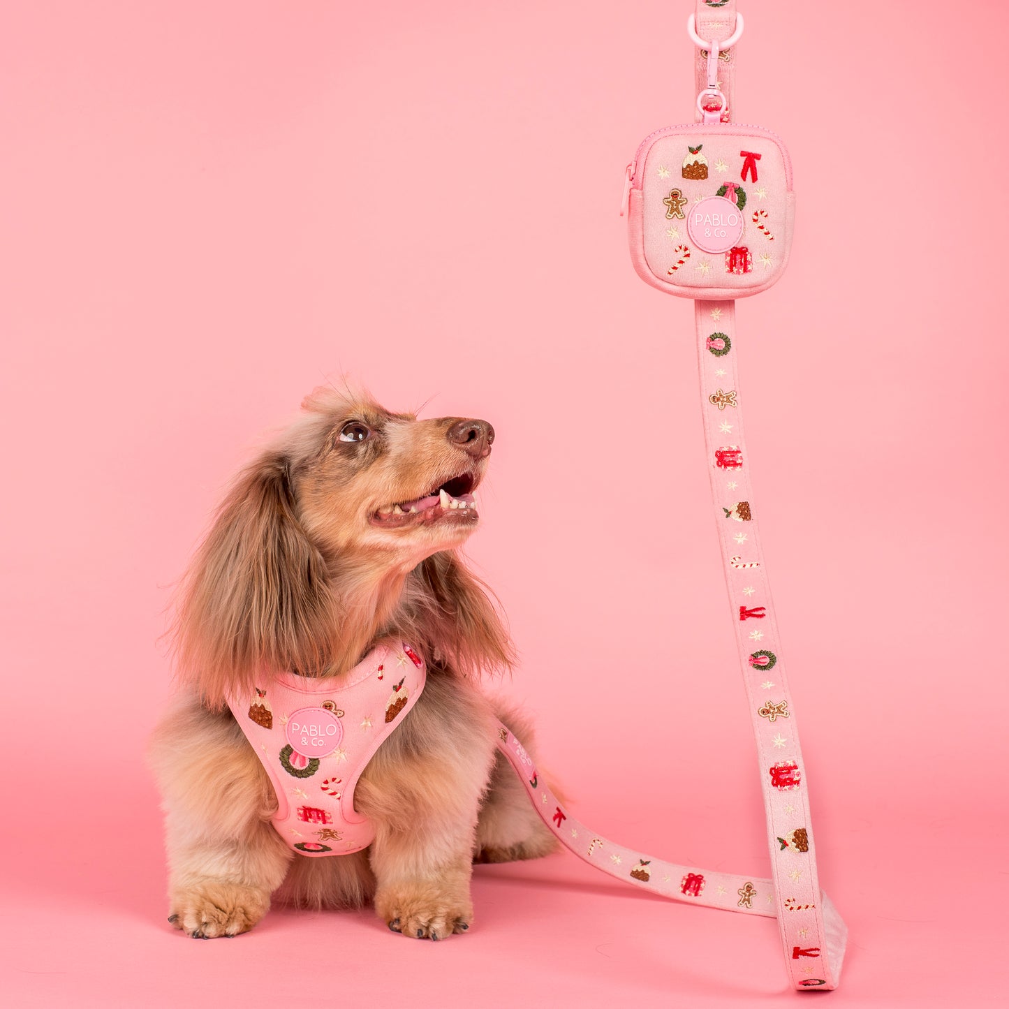 Merry & Bright: Treat Pouch