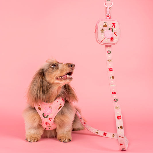 Merry & Bright: Treat Pouch