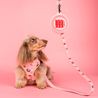 Collapsible Dog Water Bowl - Woof