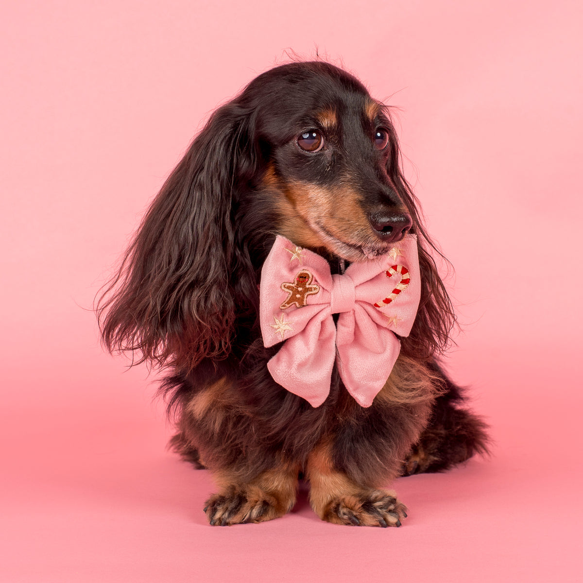 Merry & Bright: Velvet Sailor Bow