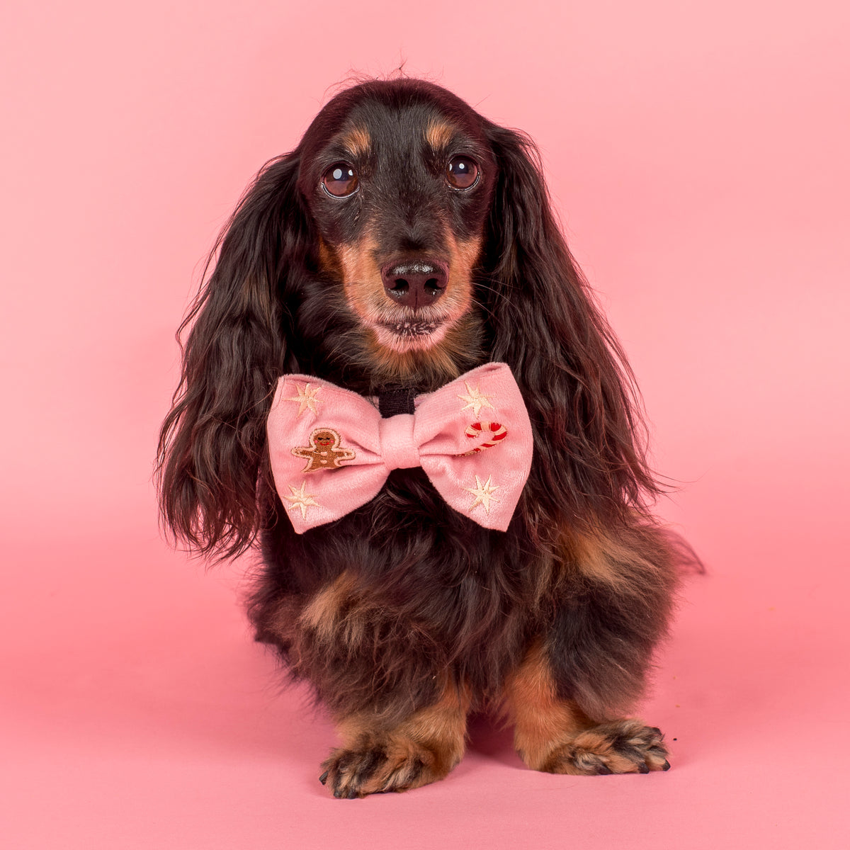 Merry & Bright: Velvet Bow Tie