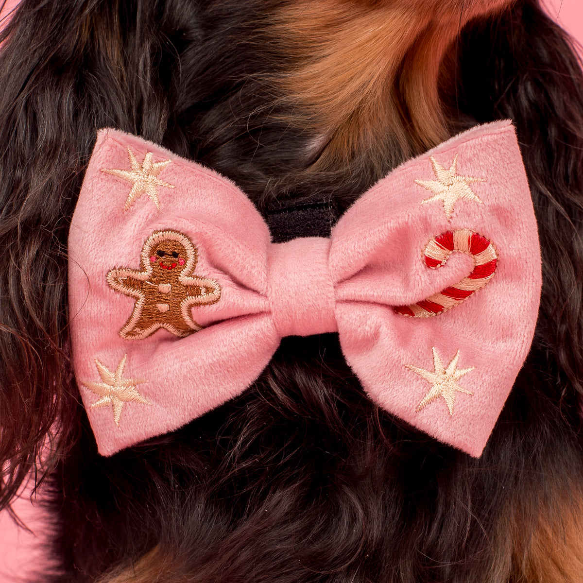 Merry & Bright: Velvet Bow Tie