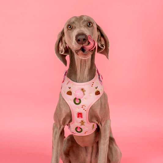 Merry & Bright: Adjustable Harness