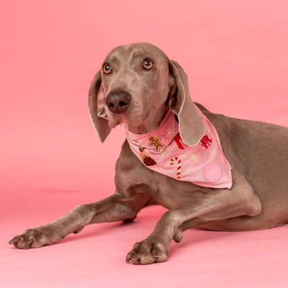 Merry & Bright: Dog Bandana