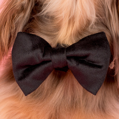 Black Velvet Bow Tie