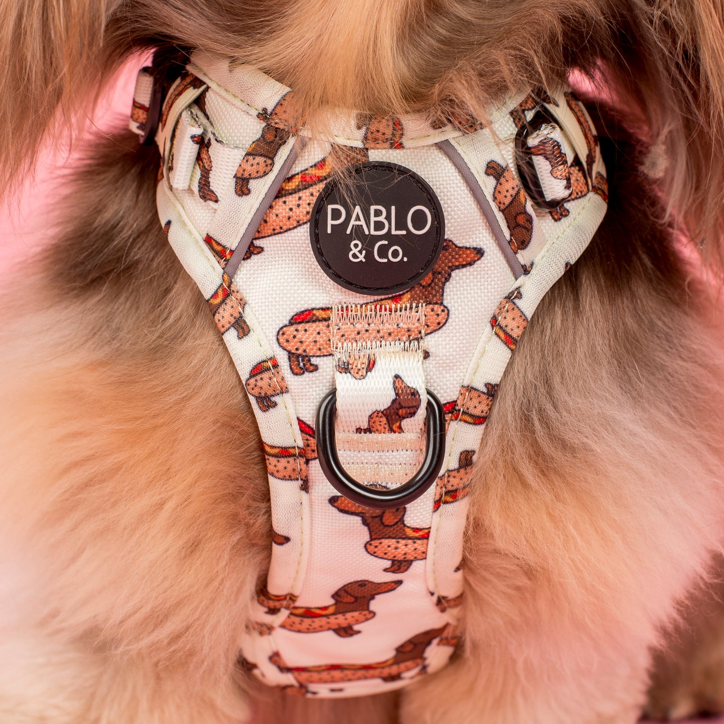 Wiener Dogs: No Pull Adventure Harness