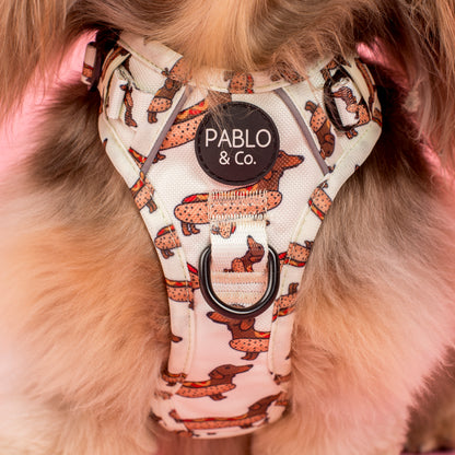 Wiener Dogs: No Pull Adventure Harness