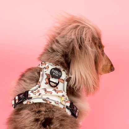 Wiener Dogs: No Pull Adventure Harness