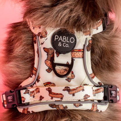 Wiener Dogs: No Pull Adventure Harness