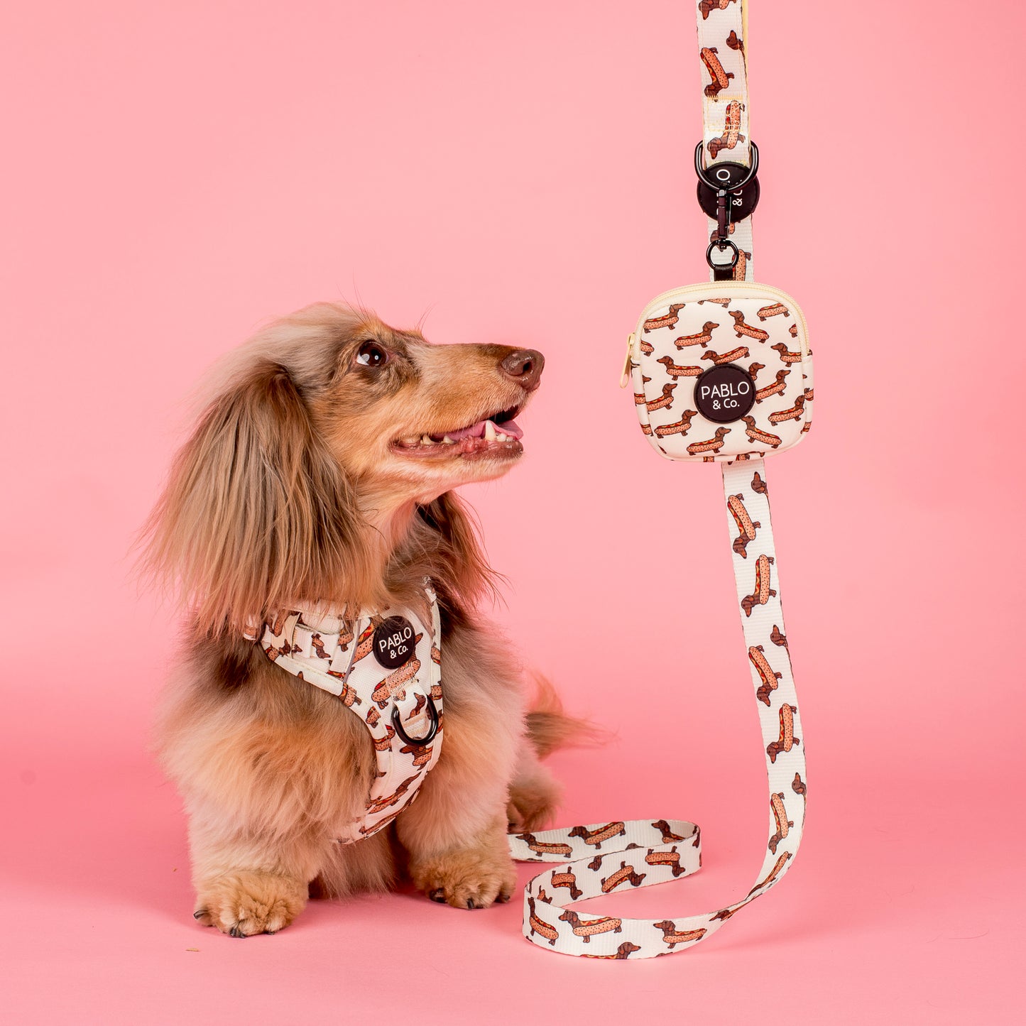 Wiener Dogs: Treat Pouch