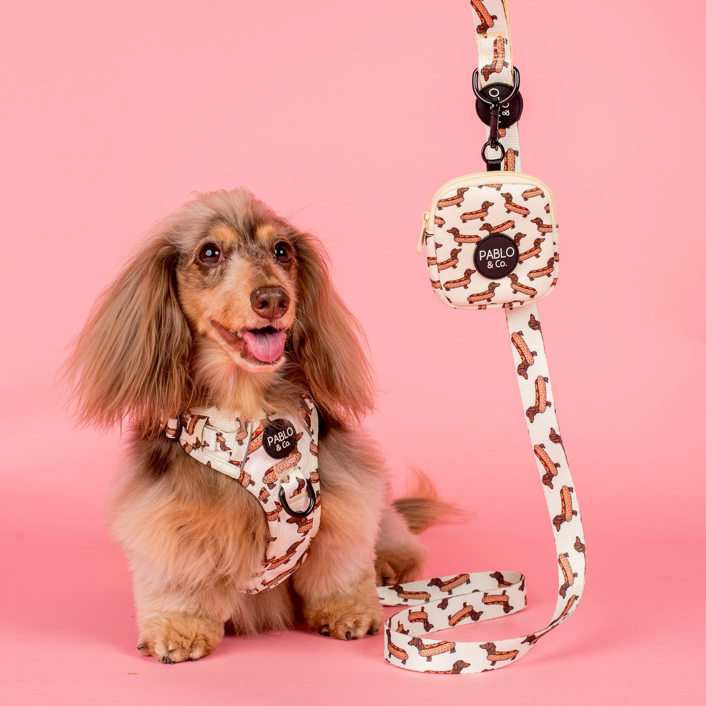 Wiener Dogs: No Pull Adventure Harness