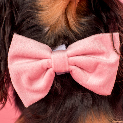 Pink Velvet Bow Tie
