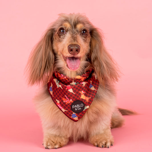 Merry Little Dachshunds: Dog Bandana